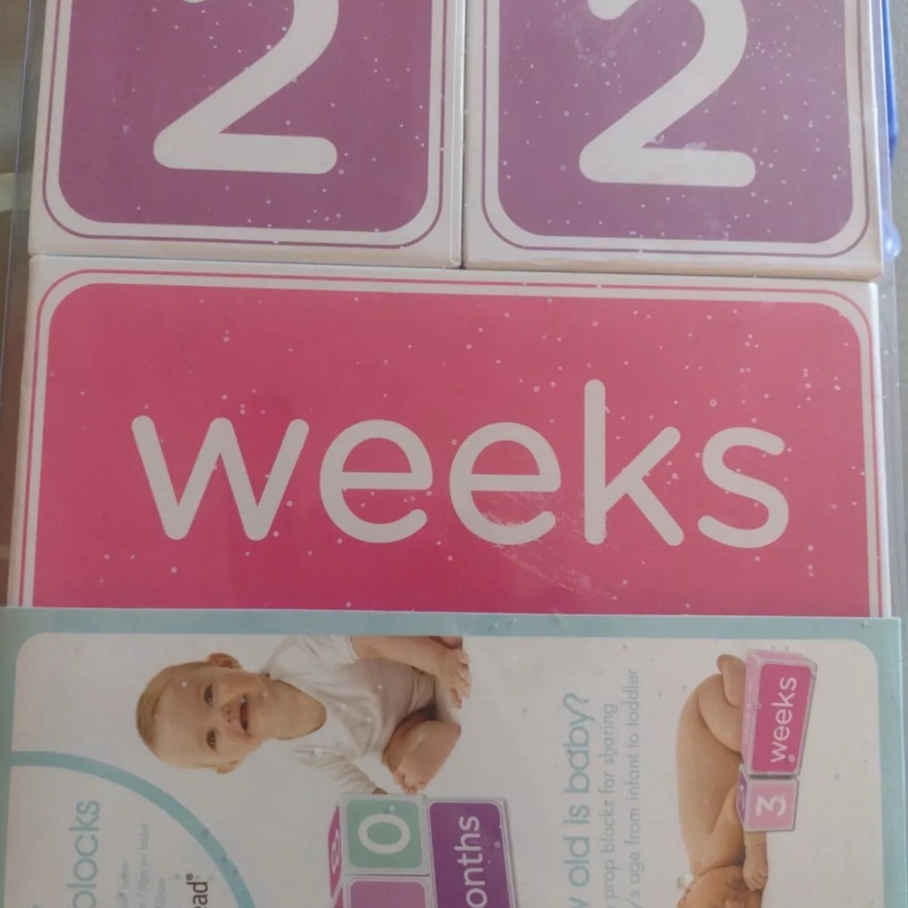 Pink and Purple Baby Milestone Blocks